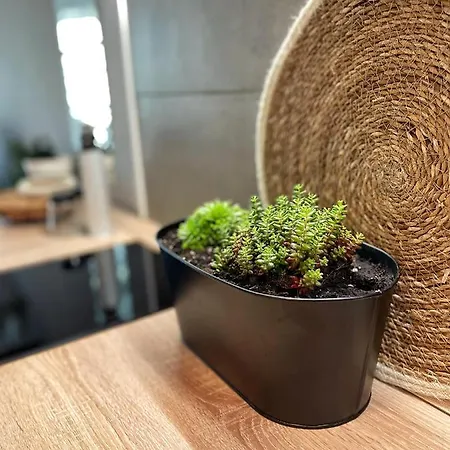 Апартаменты Balaton Breeze