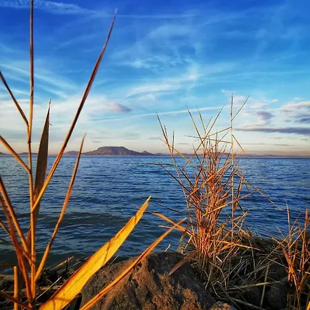 Balaton Breeze *