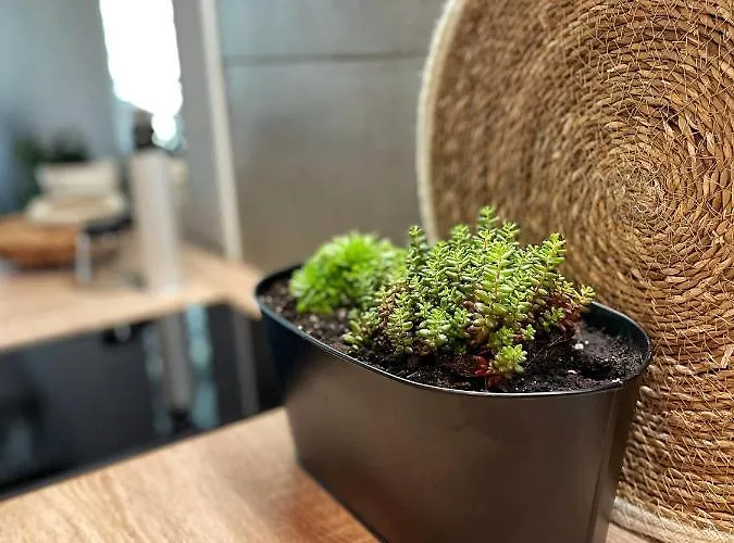 Lejlighed Balaton Breeze